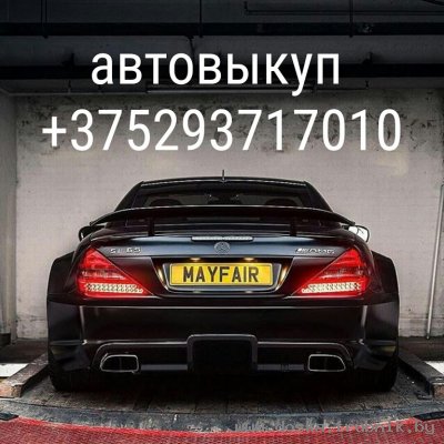 Выкуп авто Могилев +375293717010 Скупка машин в Могилеве