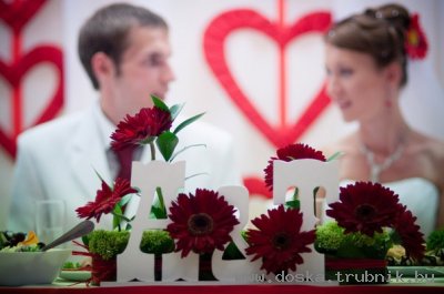 Услуги фотографа