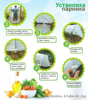 Парник Фазенда 4м., 6м., 8м., купить в Минске.