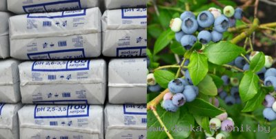 Торф кислый верховой, мешок 100литров, саженцы