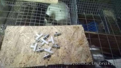 Поилки ниппельные для кроликов шиншилл и нутрии. Поилка. Ниппеля