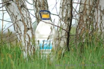 "Зеленая серия" бытовой химии