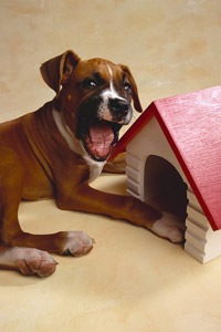 каркасные дома по индивидуальному проекту