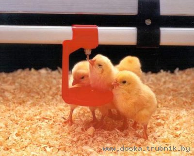 Каплеуловитель для ниппельной поилки Каплеулавливатель/каплесборник (чашечки) для ниппельных поилок