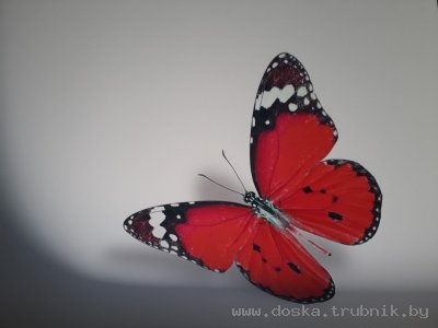 Натяжные потолки. Установка. Рассрочка.